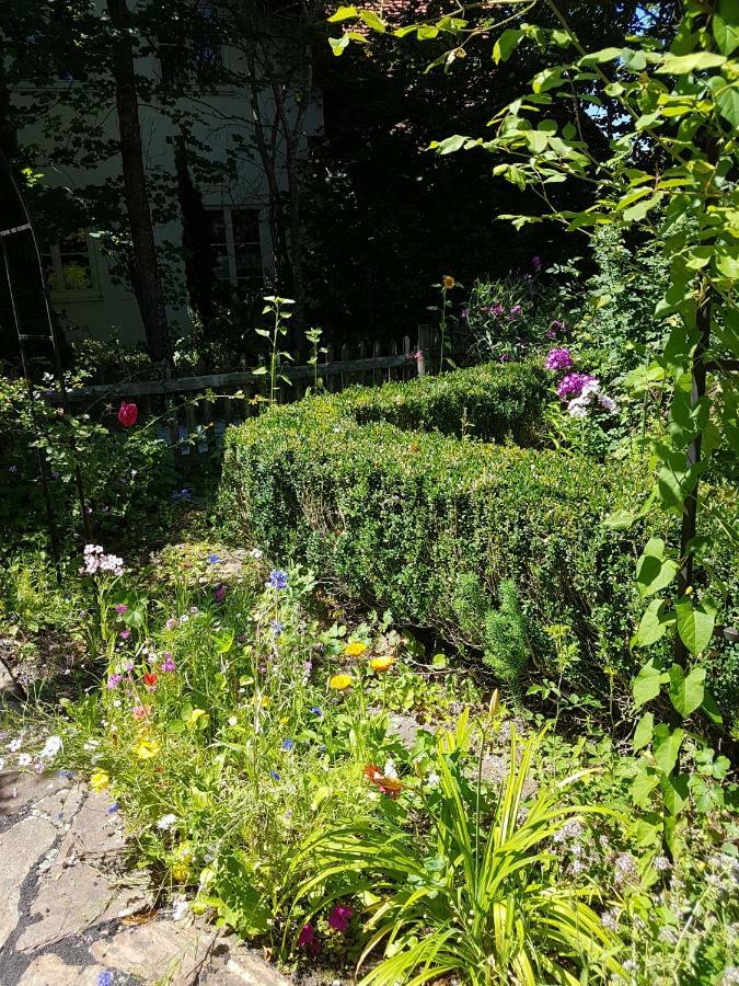 Martina'S Place 로덴부흐 외부 사진